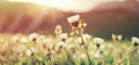 7 New Springtime Things To Try (With A Cup of Tea!) - Teaspressa