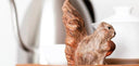 Tea Time with Anna Mariani: The Future of the Tea Industry - Teaspressa
