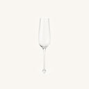 Linea Champagne Flute on a clean off white background